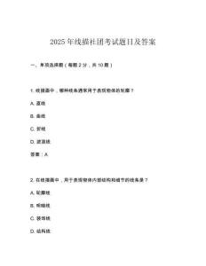2025年線描社團考試題目及答案