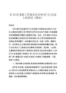 在XX區老齡工作委員會全體(擴大)會議上的講話（精品）