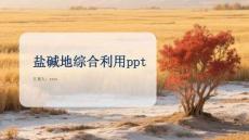盐碱地综合利用：从治理到可持续发展的中国实践