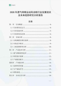 2026年透氣網眼運動風涼鞋行業發展現狀及未來趨勢研究分析報告