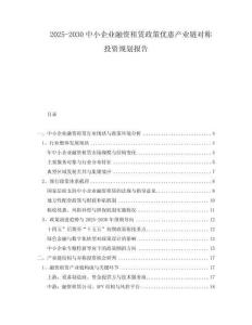 2025-2030中小企業(yè)融資租賃政策優(yōu)惠產(chǎn)業(yè)鏈對(duì)稱投資規(guī)劃報(bào)告