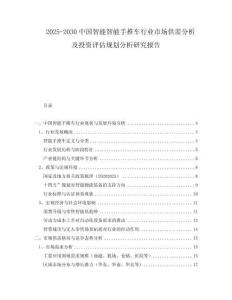 2025-2030中國智能智能手推車行業(yè)市場供需分析及投資評估規(guī)劃分析研究報告
