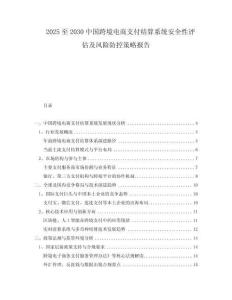 2025至2030中國跨境電商支付結(jié)算系統(tǒng)安全性評(píng)估及風(fēng)險(xiǎn)防控策略報(bào)告