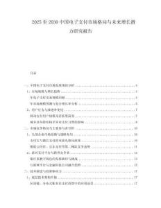 2025至2030中國電子支付市場格局與未來增長潛力研究報(bào)告