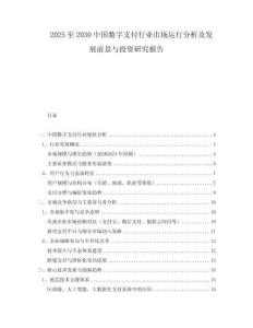2025至2030中國數(shù)字支付行業(yè)市場運(yùn)行分析及發(fā)展前景與投資研究報(bào)告