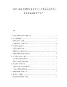2025-2030中國高可見度褲子行業市場發展趨勢與前景展望戰略研究報告