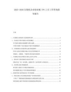 2025-2030壓鑄機企業創業板IPO上市工作咨詢指導報告