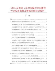 2025及未來5年中國編織休閑腰帶行業(yè)投資前景及策略咨詢研究報(bào)告