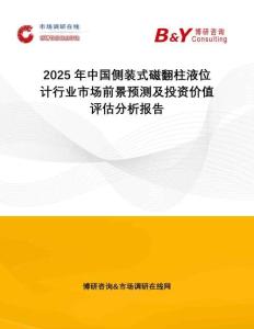 2025年中國(guó)側(cè)裝式磁翻柱液位計(jì)行業(yè)市場(chǎng)前景預(yù)測(cè)及投資價(jià)值評(píng)估分析報(bào)告