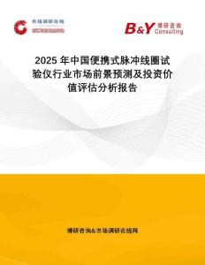 2025年中國便攜式脈沖線圈試驗儀行業(yè)市場前景預測及投資價值評估分析報告