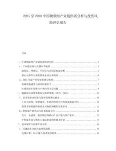 2025至2030中國物聯(lián)網(wǎng)產(chǎn)業(yè)鏈供需分析與投資風(fēng)險(xiǎn)評估報(bào)告