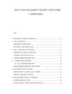 2025至2030核電設備國產(chǎn)化率提升與海外市場準入策略研究報告