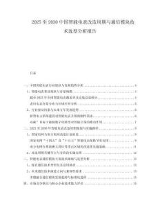 2025至2030中國智能電表改造周期與通信模塊技術(shù)選型分析報告