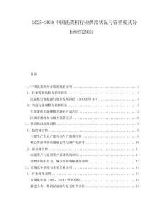 2025-2030中國(guó)洗菜機(jī)行業(yè)供需狀況與營(yíng)銷模式分析研究報(bào)告