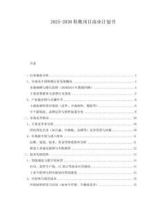 2025-2030鞋靴項(xiàng)目商業(yè)計(jì)劃書