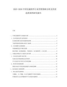 2025-2030中國交通軟件行業(yè)營銷策略分析及供需趨勢預判研究報告