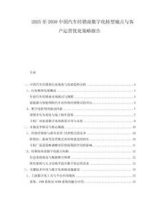 2025至2030中國(guó)汽車經(jīng)銷商數(shù)字化轉(zhuǎn)型痛點(diǎn)與客戶運(yùn)營(yíng)優(yōu)化策略報(bào)告