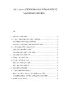 2025-2030中國船舶壓載水處理系統(tǒng)行業(yè)發(fā)展趨勢與前景展望研究研究報(bào)告