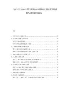 2025至2030中國支付行業(yè)市場運行分析及發(fā)展前景與投資研究報告