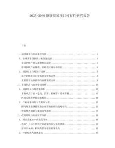 2025-2030鋼鐵貿(mào)易項(xiàng)目可行性研究報(bào)告