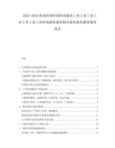 2025-2030咨詢咨詢咨詢咨詢服務工業(yè)工業(yè)工業(yè)工業(yè)工業(yè)工業(yè)工業(yè)咨詢服務服務服務服務服務服務服務技術(shù)