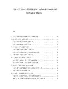 2025至2030中國新能源汽車電池材料回收技術(shù)路線經(jīng)濟(jì)性比較報告
