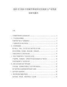 2025至2030中國(guó)碳纖維材料應(yīng)用現(xiàn)狀與產(chǎn)業(yè)化前景研究報(bào)告