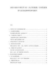 2025-2030中國汽車ECU（電子控制器）行業(yè)發(fā)展現(xiàn)狀與前景趨勢研究研究報告
