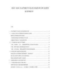 2025-2030自動駕駛汽車技術(shù)市場供需分析及投資前景規(guī)劃書