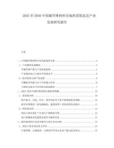 2025至2030中國(guó)碳纖維材料市場(chǎng)供需狀況及產(chǎn)業(yè)發(fā)展研究報(bào)告