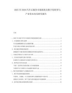 2025至2030汽車后服務(wù)市場現(xiàn)狀及數(shù)字化轉(zhuǎn)型與產(chǎn)業(yè)資本布局研究報告