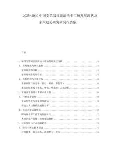2025-2030中國支票閱讀器清潔卡市場發(fā)展現(xiàn)狀及未來趨勢研究研究報告版
