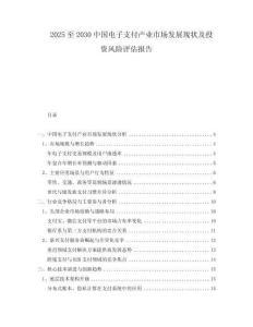 2025至2030中國電子支付產業(yè)市場發(fā)展現(xiàn)狀及投資風險評估報告