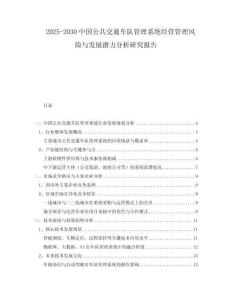 2025-2030中國(guó)公共交通車(chē)隊(duì)管理系統(tǒng)經(jīng)營(yíng)管理風(fēng)險(xiǎn)與發(fā)展?jié)摿Ψ治鲅芯繄?bào)告