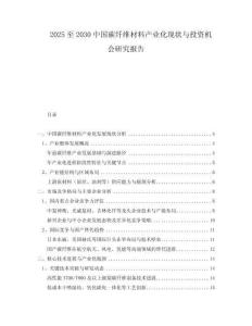 2025至2030中國(guó)碳纖維材料產(chǎn)業(yè)化現(xiàn)狀與投資機(jī)會(huì)研究報(bào)告