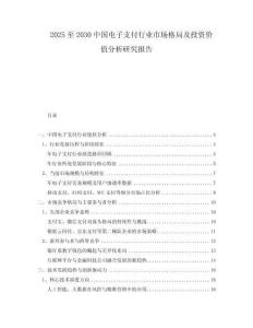 2025至2030中國電子支付行業(yè)市場格局及投資價值分析研究報告