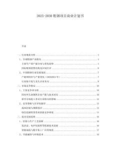 2025-2030粗鋼項目商業(yè)計劃書