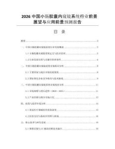 2026中國(guó)小腸膠囊內(nèi)窺鏡系統(tǒng)行業(yè)前景展望與應(yīng)用前景預(yù)測(cè)報(bào)告