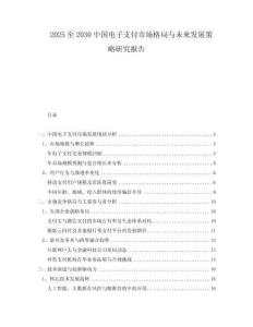 2025至2030中國電子支付市場格局與未來發(fā)展策略研究報告