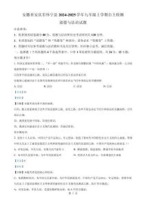 安徽省安慶市懷寧縣2024-2025學年九年級上學期自主檢測道德與法治試題（解析版）-A4