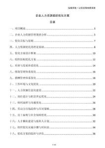企業(yè)人力資源組織優(yōu)化方案