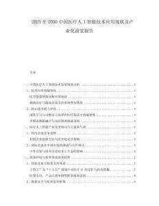 2025至2030中國(guó)醫(yī)療人工智能技術(shù)應(yīng)用現(xiàn)狀及產(chǎn)業(yè)化前景報(bào)告