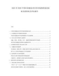 2025至2030中國區(qū)塊鏈技術(shù)應(yīng)用市場現(xiàn)狀場景拓展及投資機(jī)會評估報告
