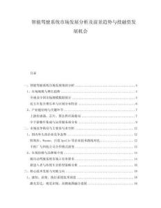 智能駕駛系統(tǒng)市場發(fā)展分析及前景趨勢與投融資發(fā)展機(jī)會(huì)