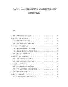 2025至2030虛擬仿真教學(xué)產(chǎn)品市場接受度與推廣策略研究報告