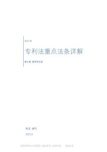 專(zhuān)利法重點(diǎn)法條詳解第九章教材