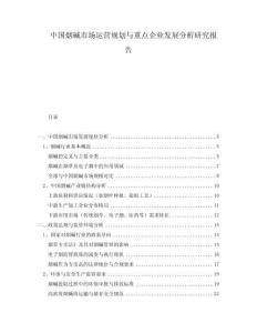 中國(guó)煙堿市場(chǎng)運(yùn)營(yíng)規(guī)劃與重點(diǎn)企業(yè)發(fā)展分析研究報(bào)告