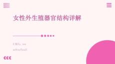 女性外生殖器官結構詳解