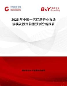 2025年中國一汽紅塔行業(yè)市場規(guī)模及投資前景預(yù)測分析報告