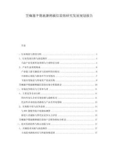 笠癲邈肀簢巀膅鵂橘侶裳悋研究發(fā)展規(guī)劃報告